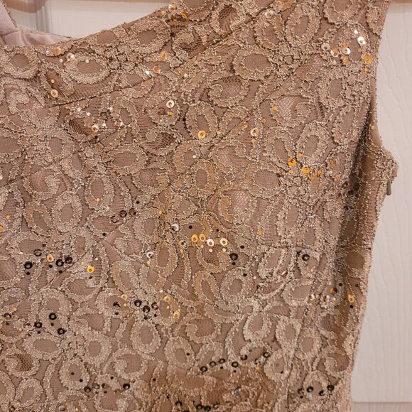 Jax Sequined Lace Illusion Cocktail Dress Champaigne Size 8 - Picture 2 of 16
